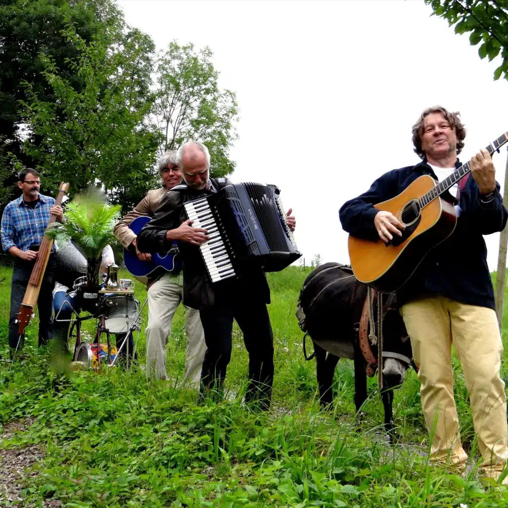 Songs & Sounds aus dem Schweizer Urwald