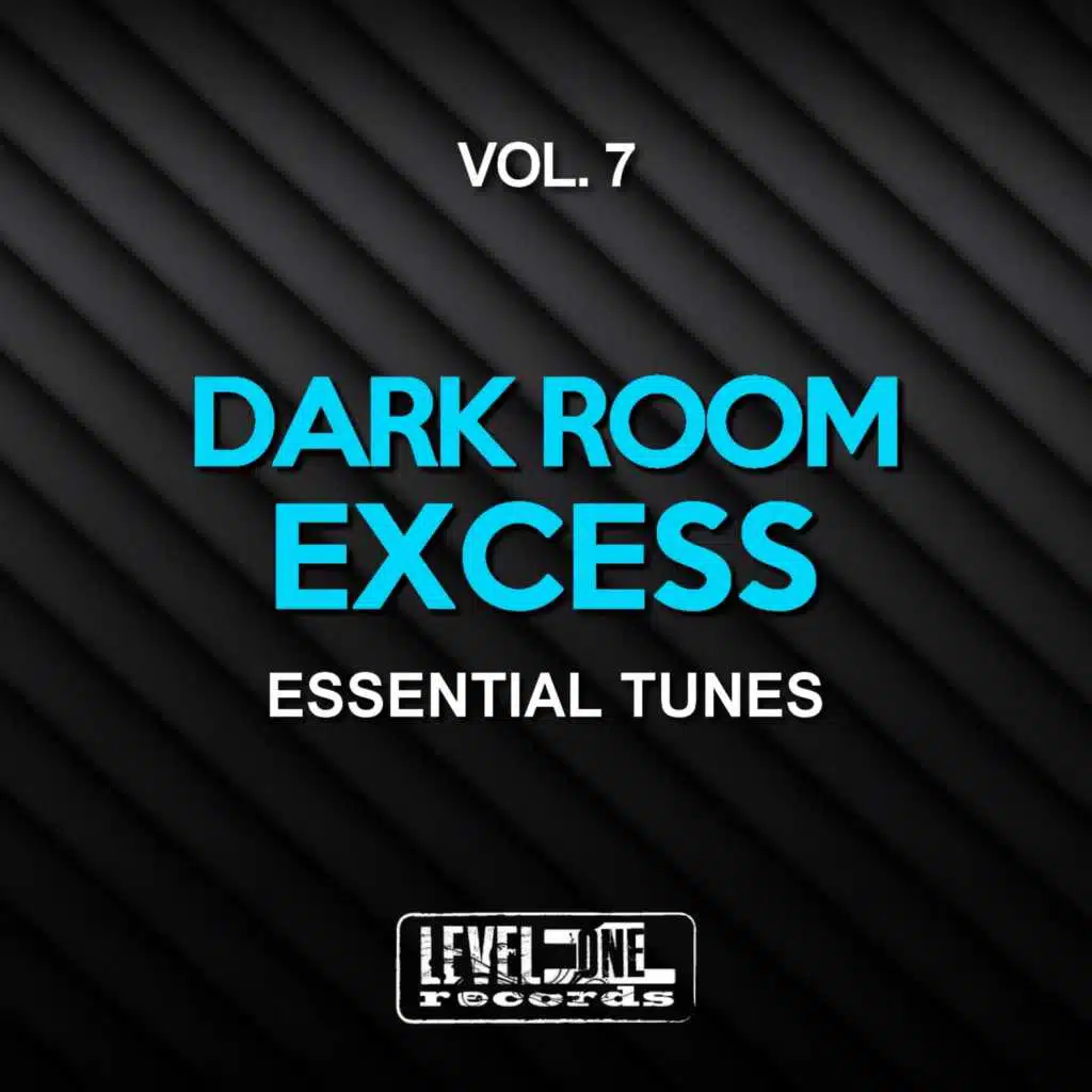 Dark Room Excess, Vol. 7 (Essential Tunes)