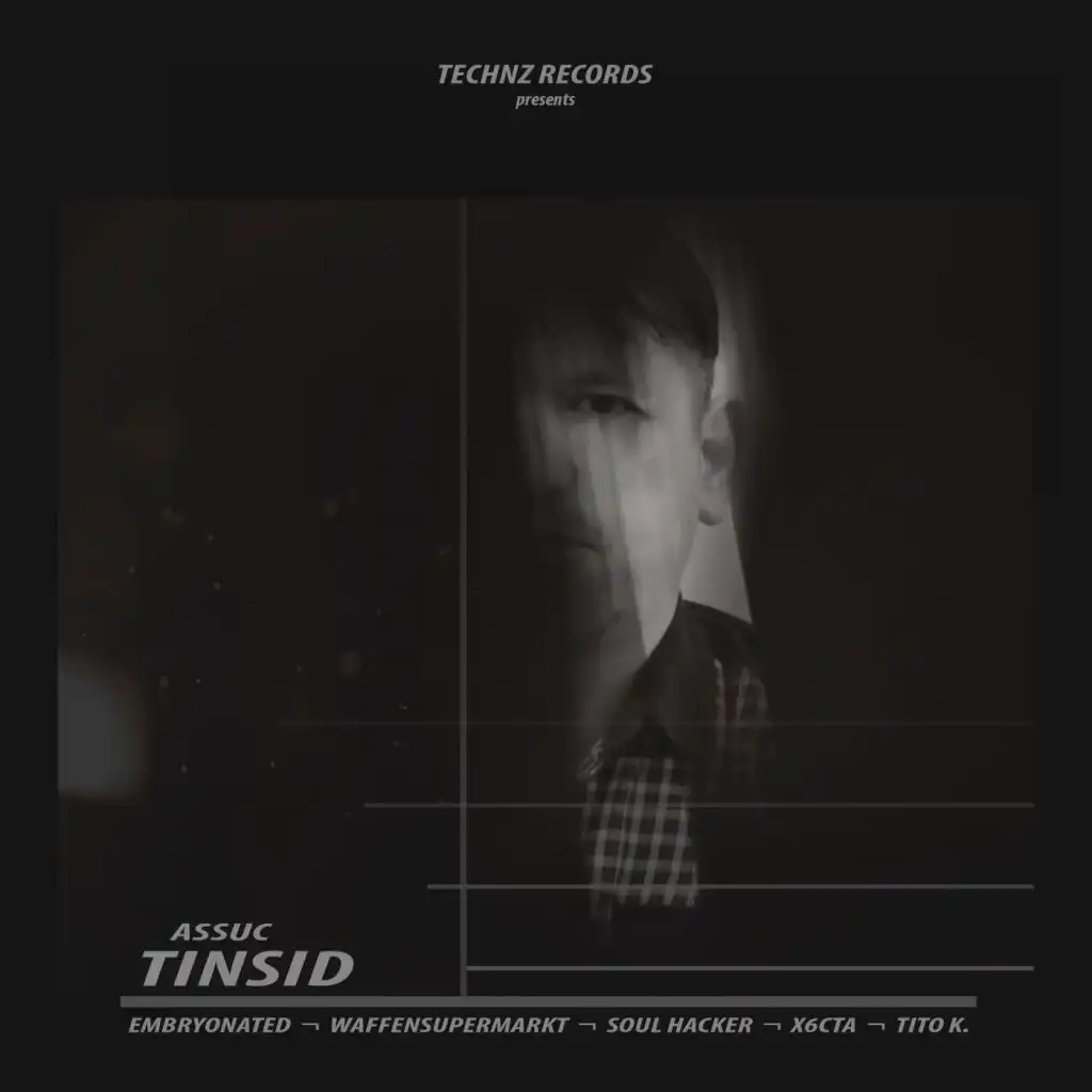 Tinsid (Waffensupermarkt Remix)