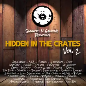 Hidden In The Crates, Vol. 2