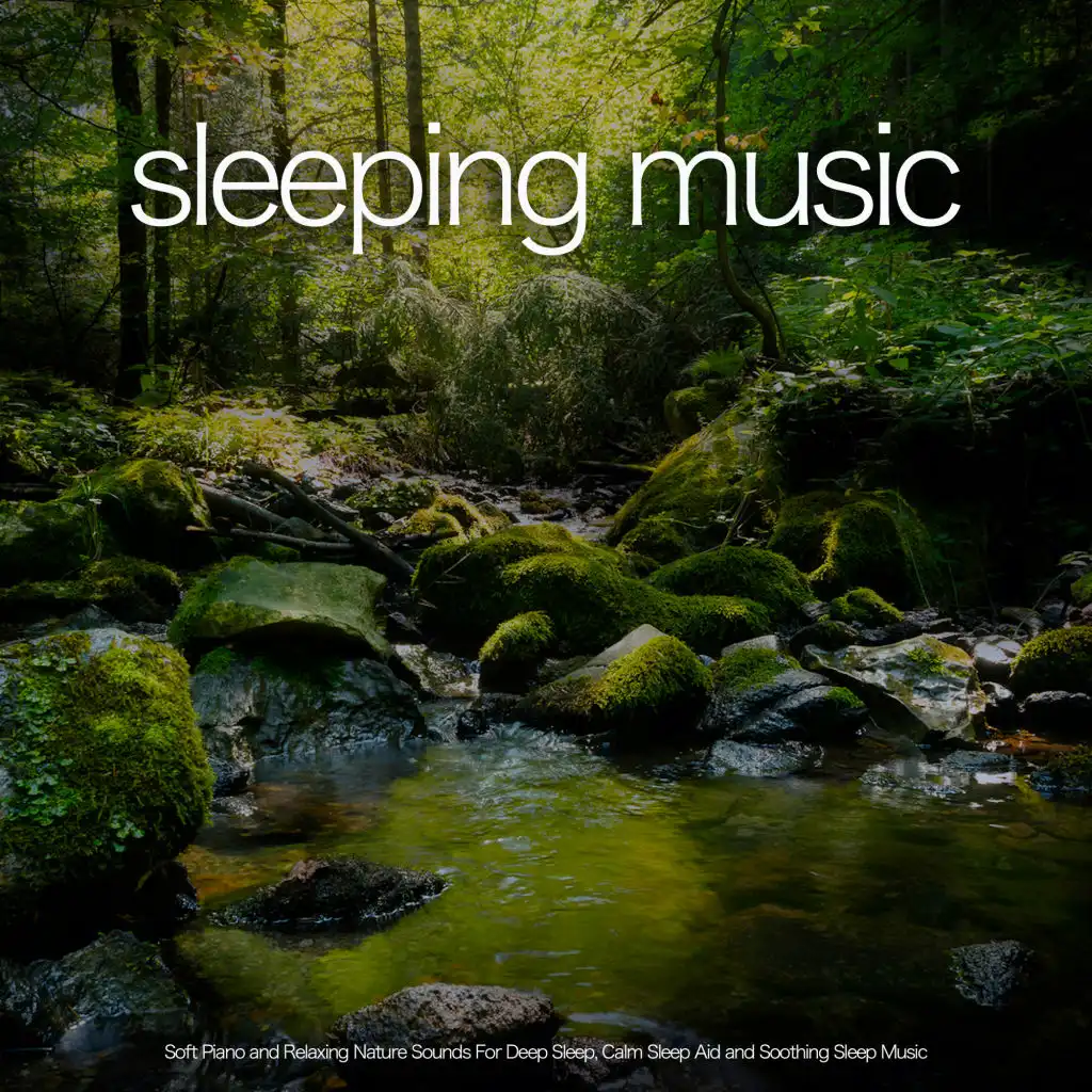 Calm Forest Music For Sleep with Piano