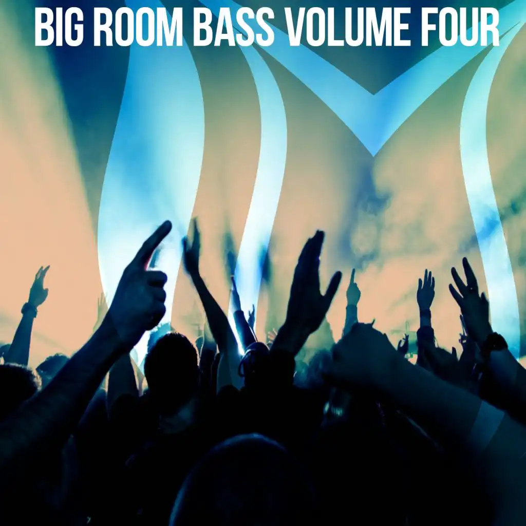 Big Room Bass, Vol. 4