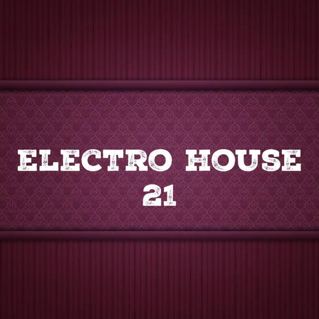Electro House, Vol. 21