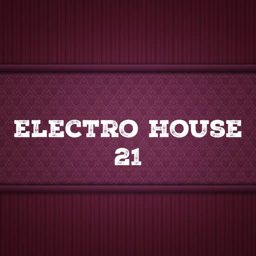 Electro House, Vol. 21