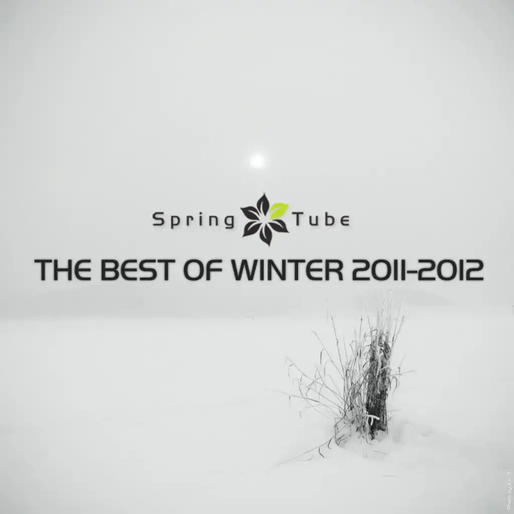 The Best of Winter 2011-2012