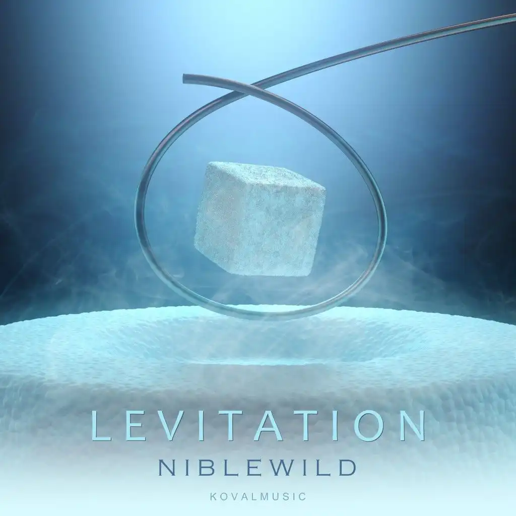 Levitation (Radio Edit)