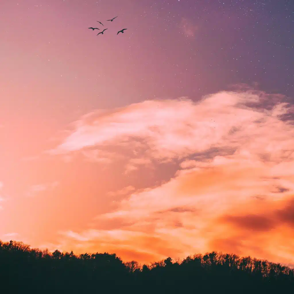 she held the galaxies (feat. Vict Molina)