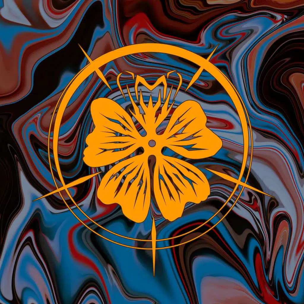 H.L.Y.C Stripped (Live-Session)