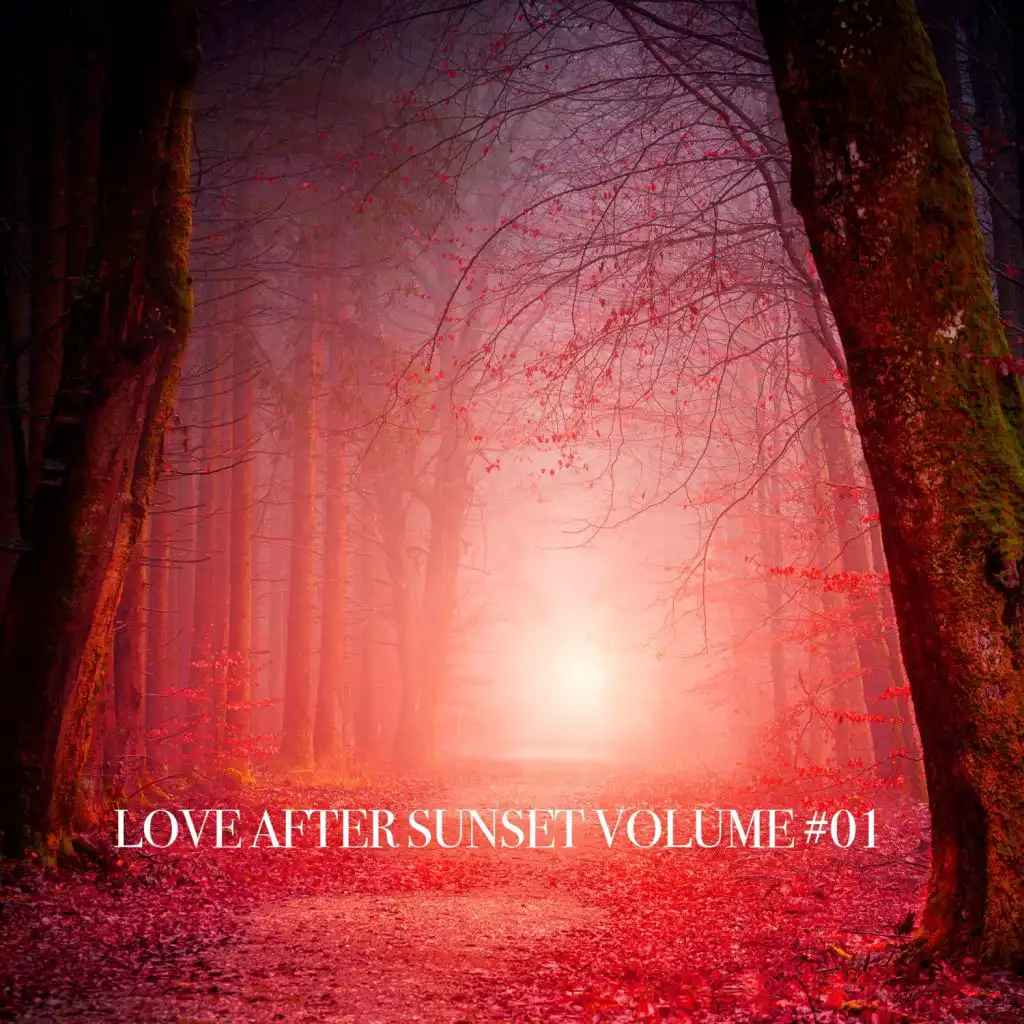 Love After Sunset, Vol. 01