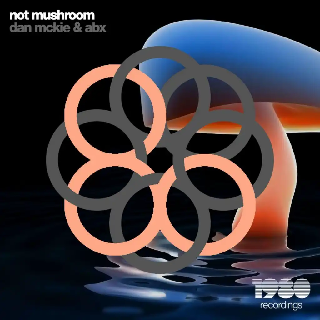 Not Mushroom (5Udo Remix)