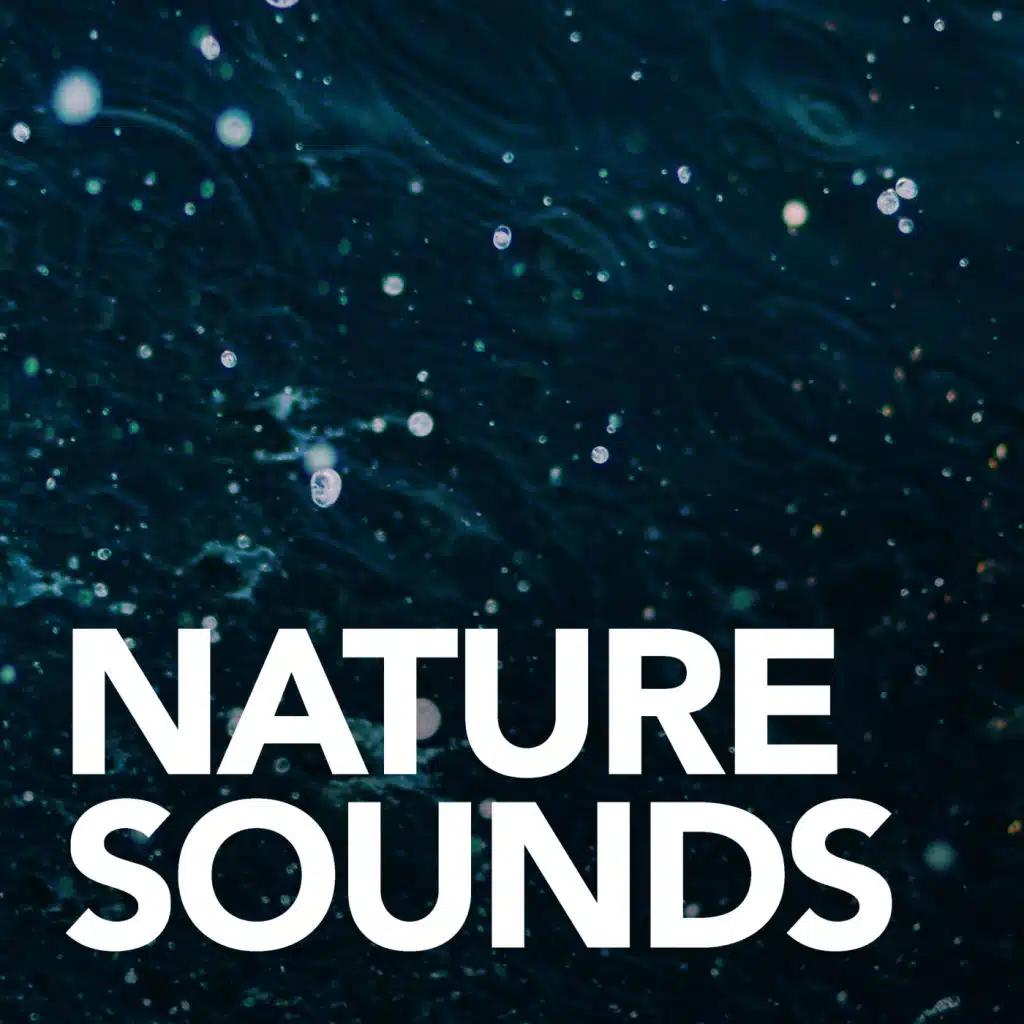Nature Sounds