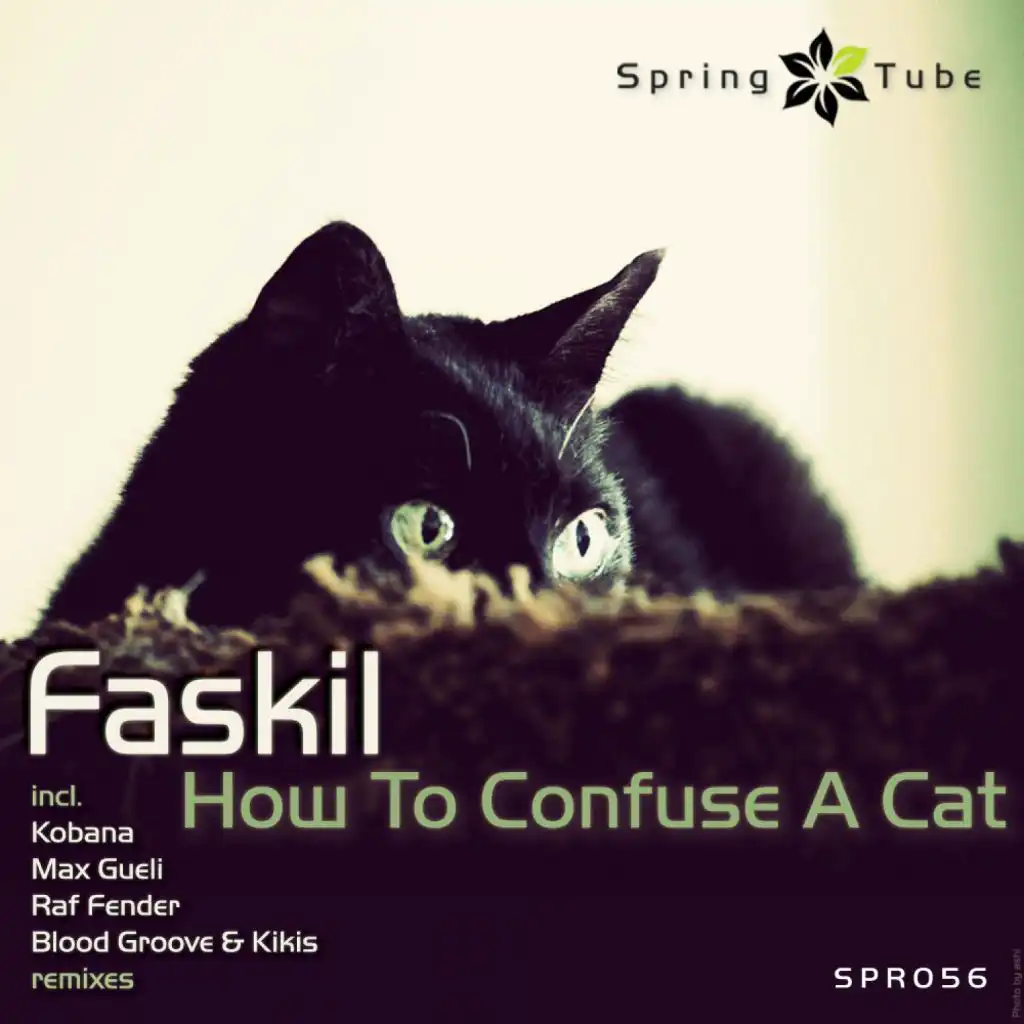How to Confuse a Cat (Raf Fender Remix)