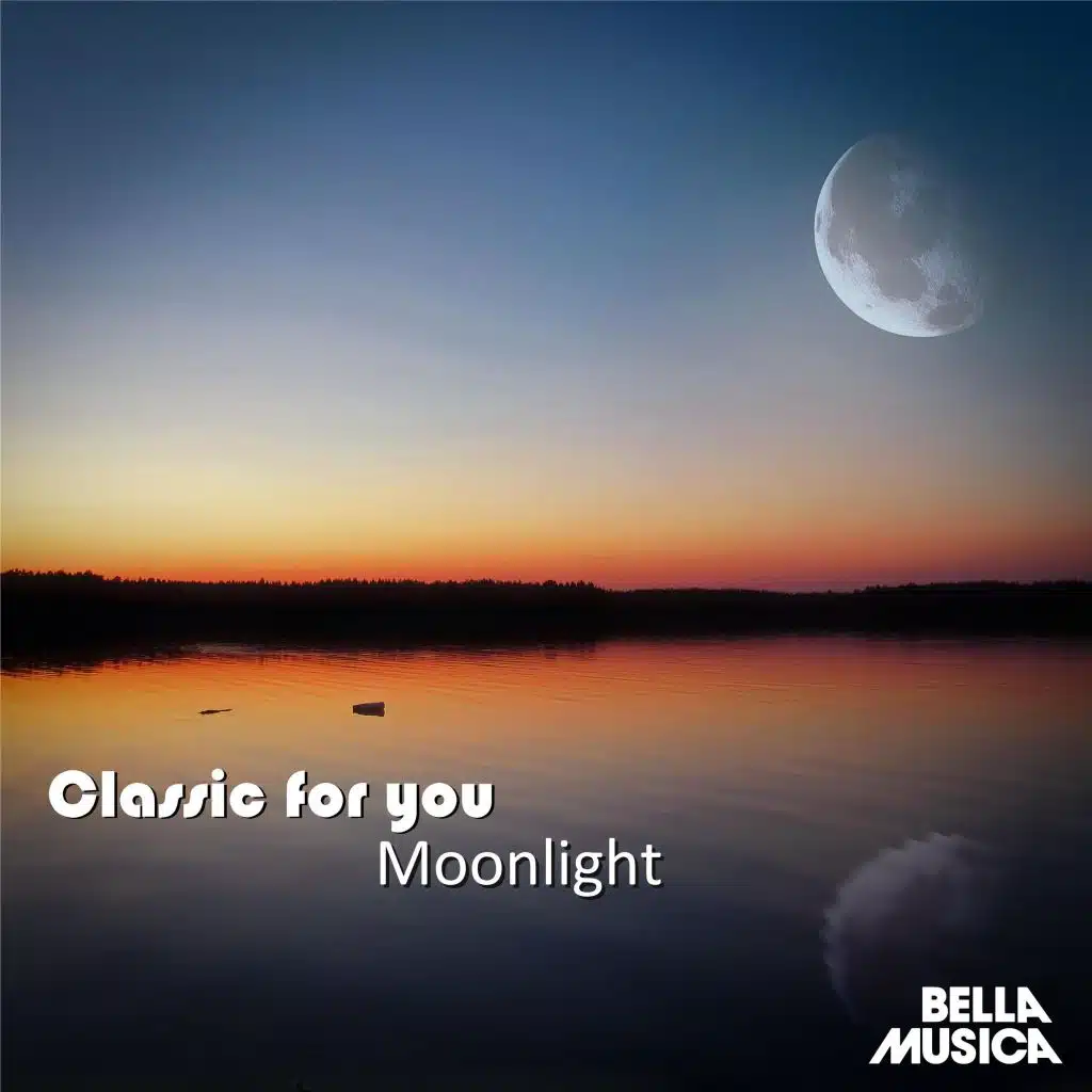 Kinderszenen, Op. 15: No. 7, Träumerei