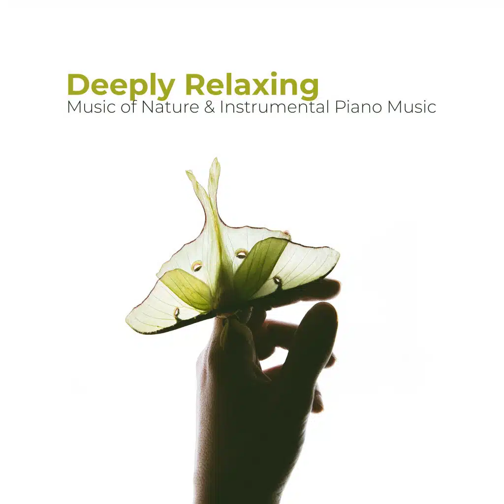 Baby Sleep Lullaby Academy, Rest & Relax Nature Sounds Artists, Lovely Nature Music Zone