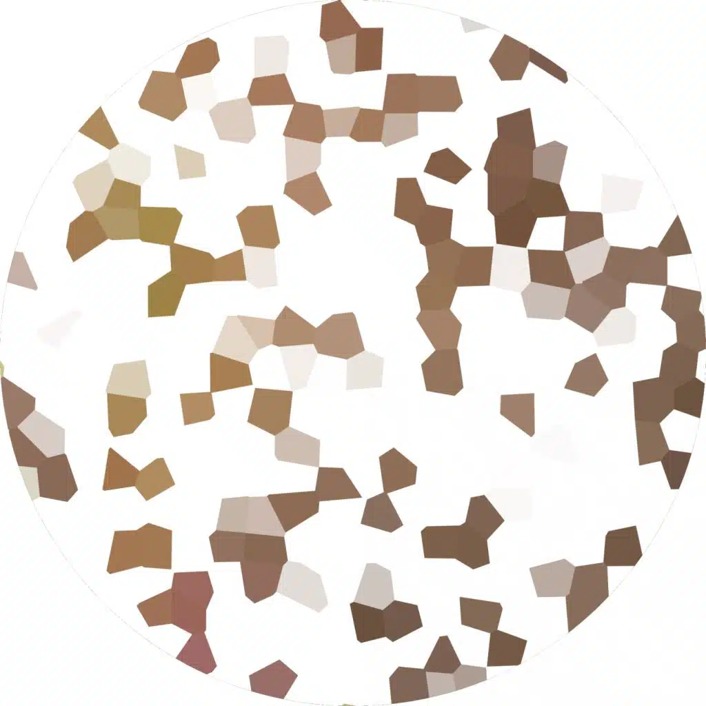 Rods Novaes & Arthus