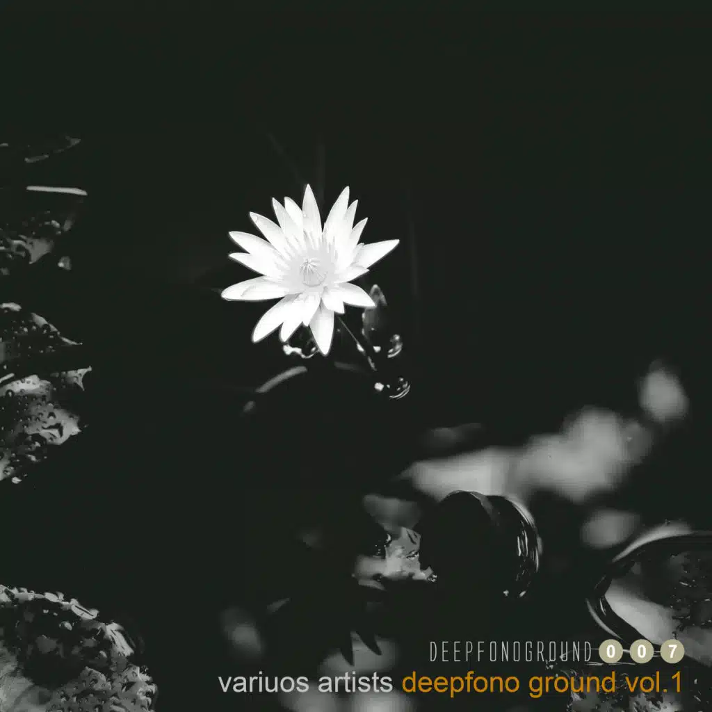Deepfono Ground, Vol. 1