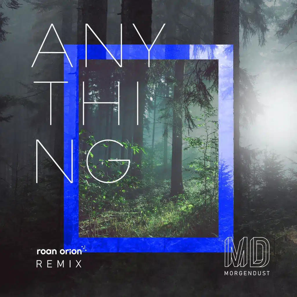 Anything (Remix)