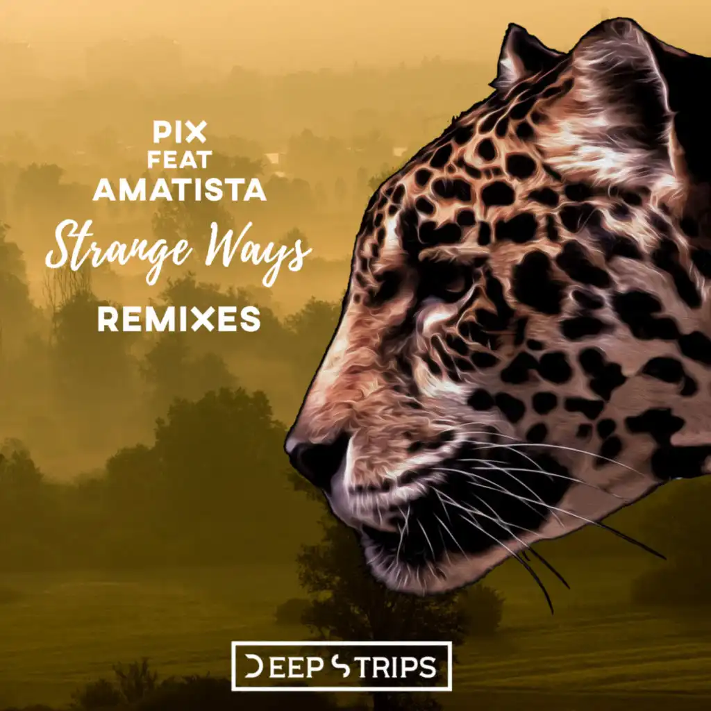 Strange Ways (Elegant Ape Remastered Remix)