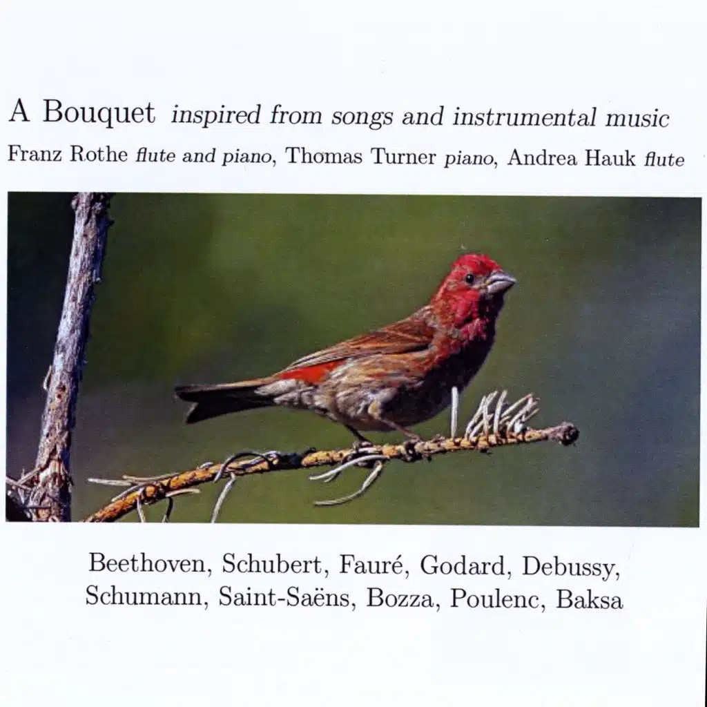 Rondo a Capriccio in G, Op. 129