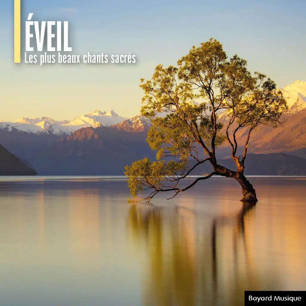 Ensemble Athénaïs / Hiroko Nakayama / Laurence Pottier