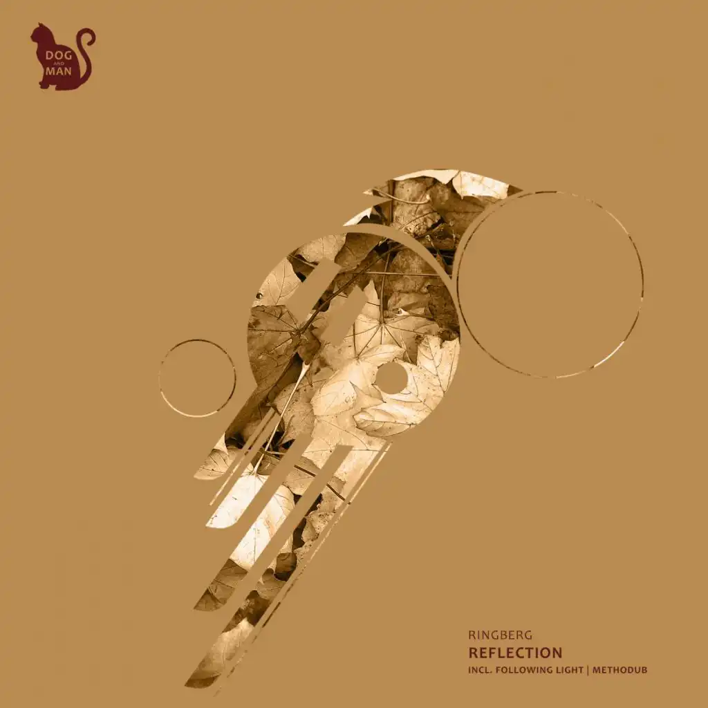 Reflections (Methodub Remix)
