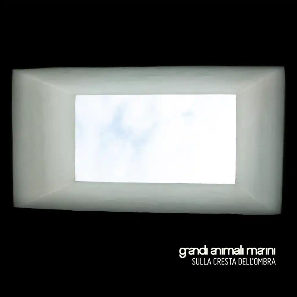 Grandi Animali Marini