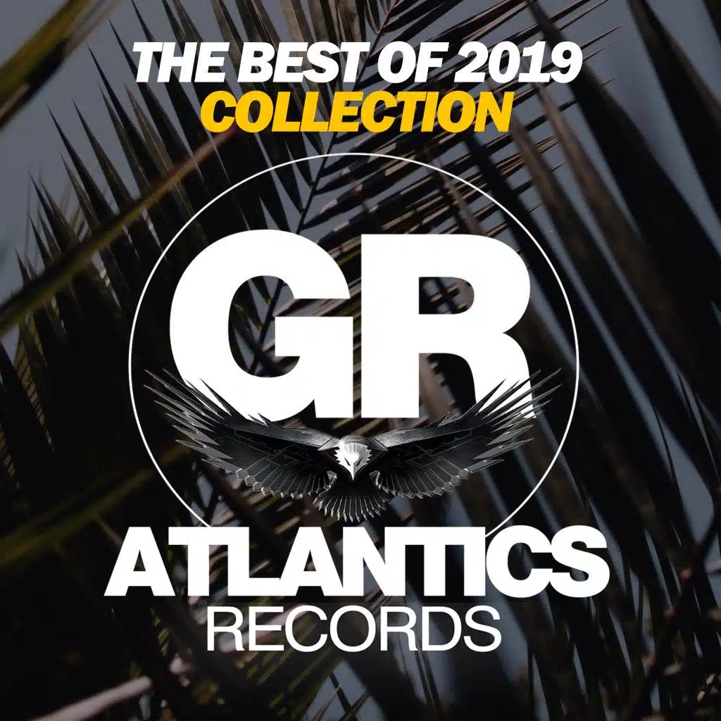 The Best of 2019 Collection