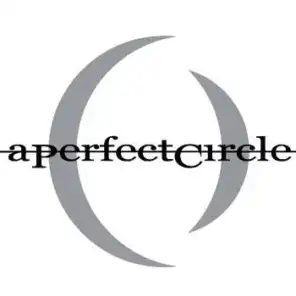 A Perfect Circle