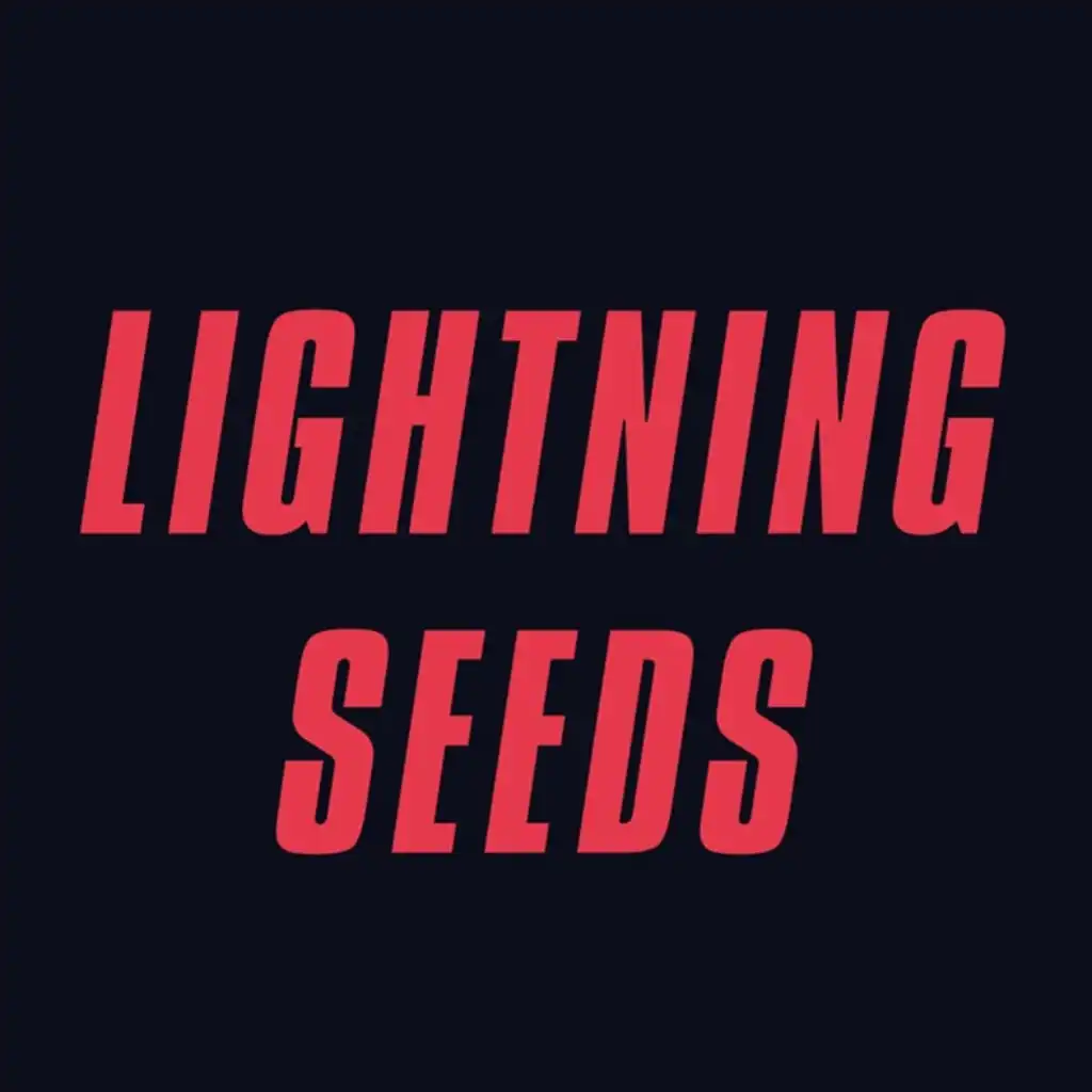 The Lightning Seeds