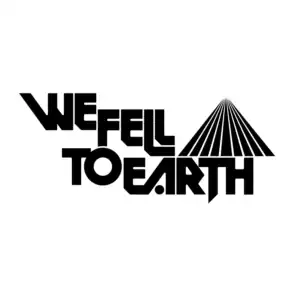 We Fell To Earth