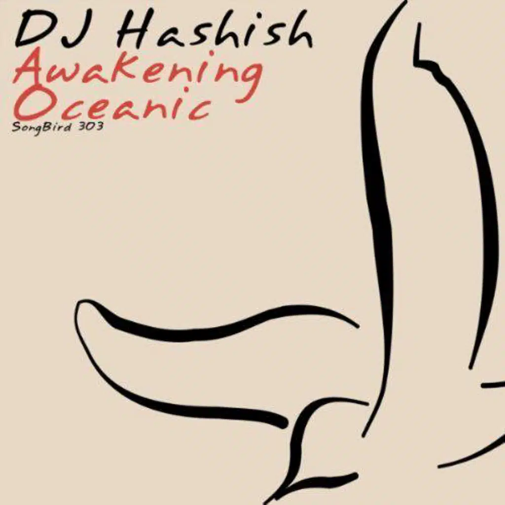 DJ Hashish