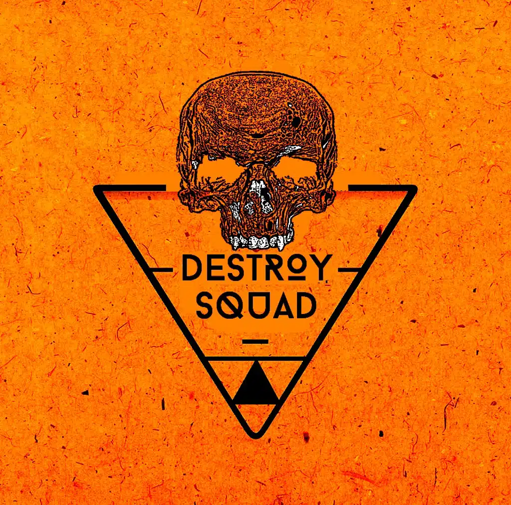 The Destroy Squad