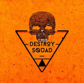 The Destroy Squad