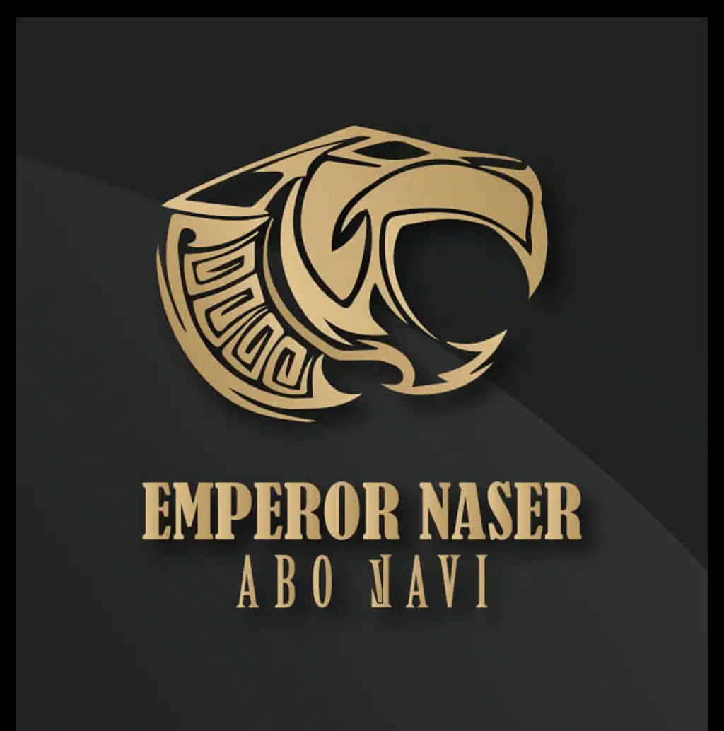 ناصر أبو لافي