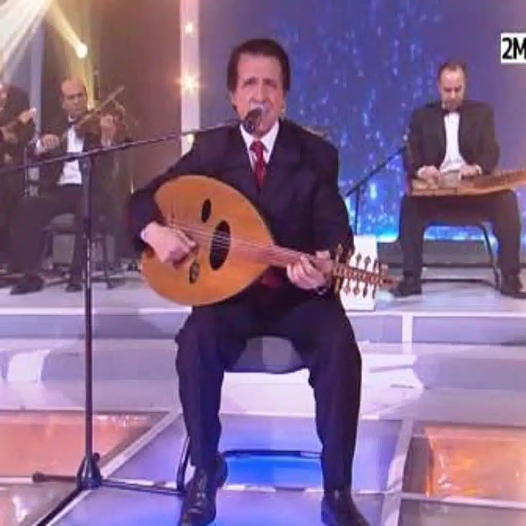 محمود الإدريسي