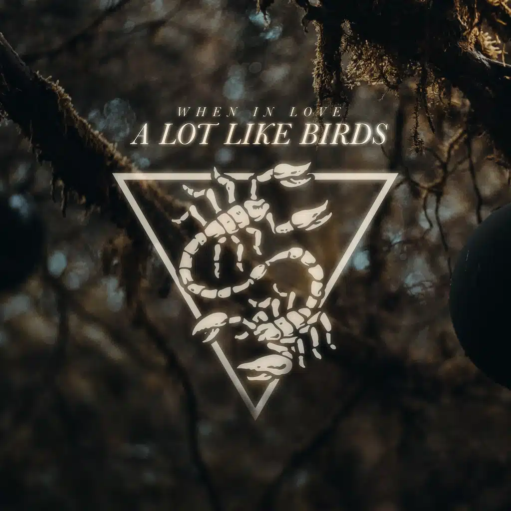 A Lot Like Birds