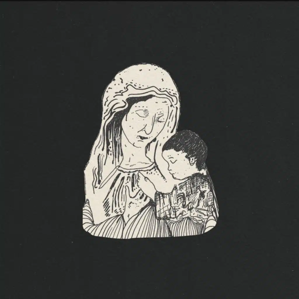 Sound Of Animals Fighting