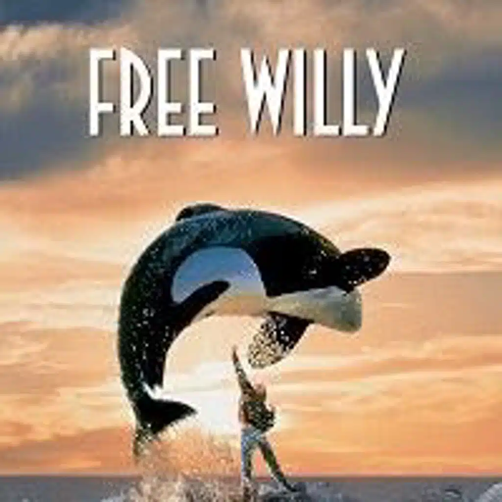 Free Will