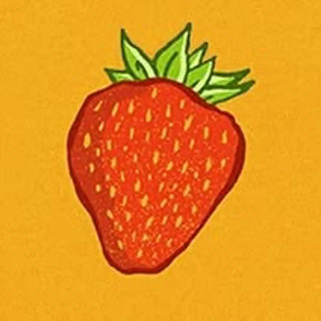 Andrew Jackson Jihad