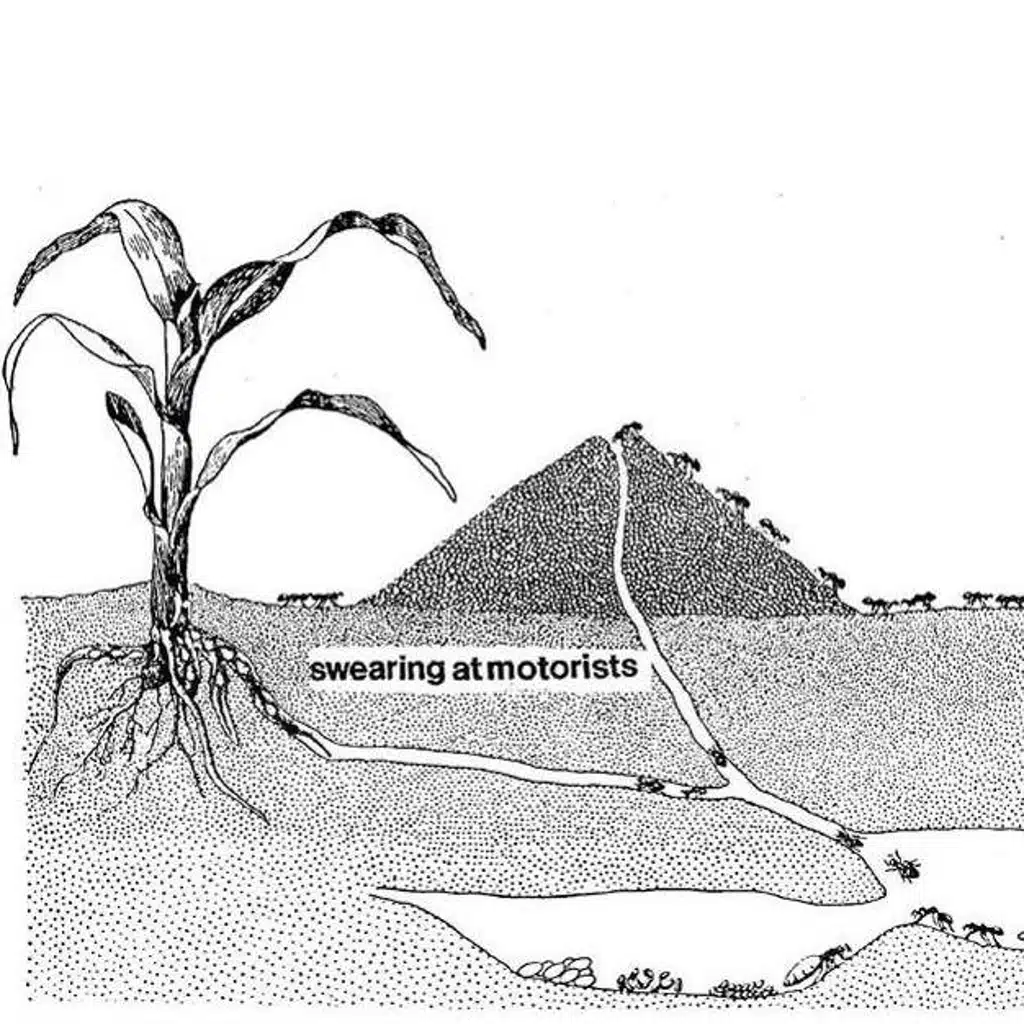 Swearing At Motorists