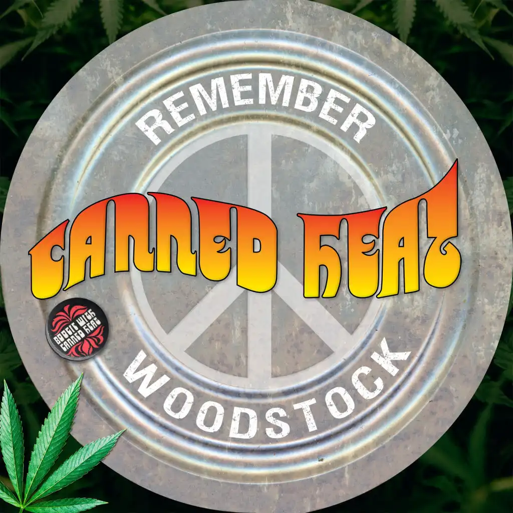 Remember Woodstock (feat. Joe Reagoso)