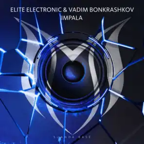 Elite Electronic & Vadim Bonkrashkov