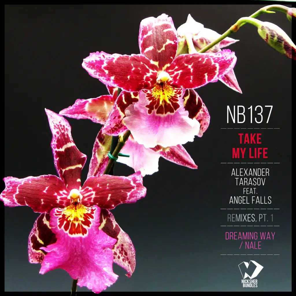 Take My Life: Remixes, Pt. 1 (feat. Angel Falls)