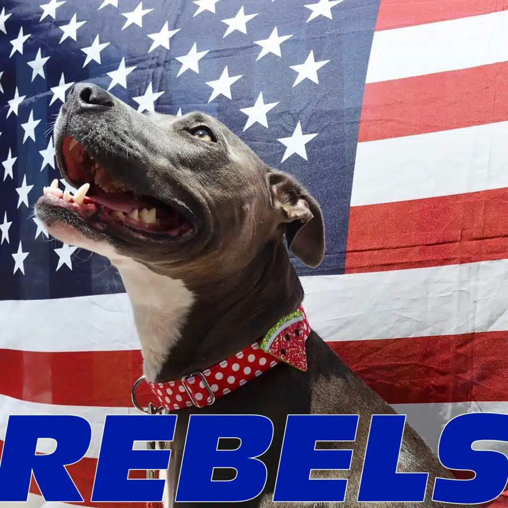 My Lips Will Never Be Sealed (Remixes) (Acoustic Mix)