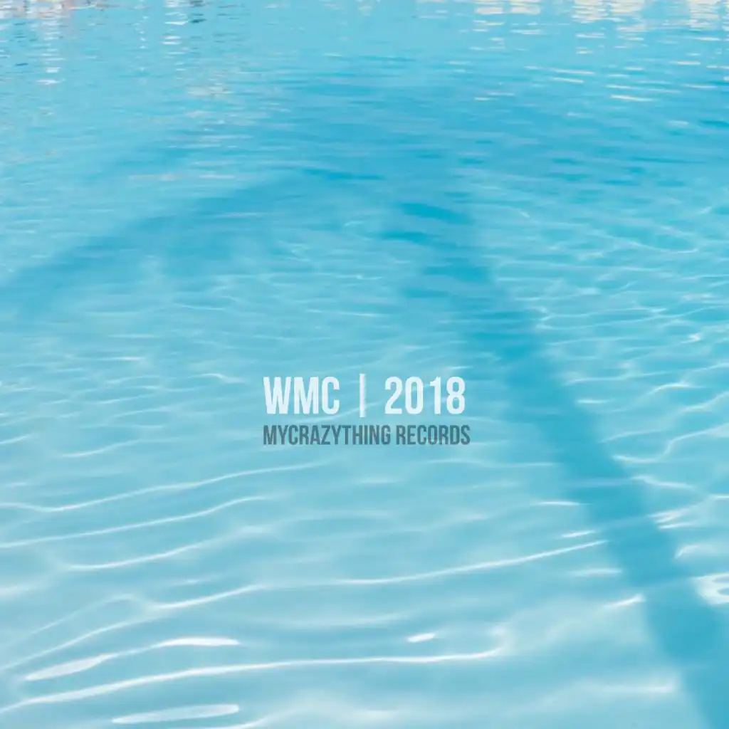 WMC 2018