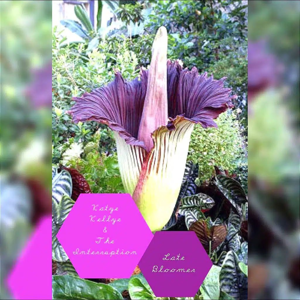 Late Bloomer