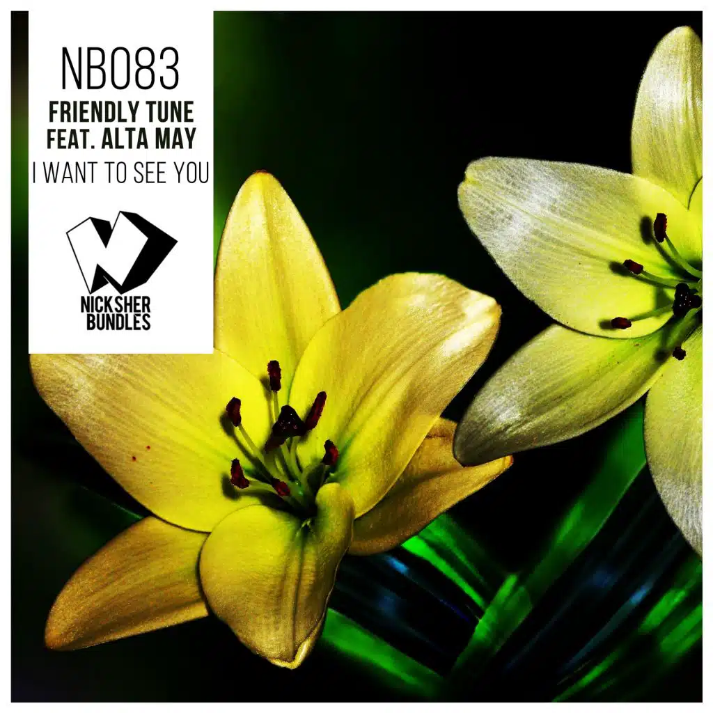 I Want to See You (Dub Mix) [feat. Alta May]