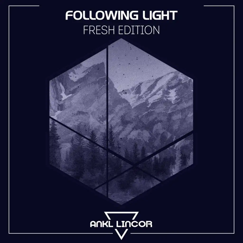 Traffic (Following Light Remix)