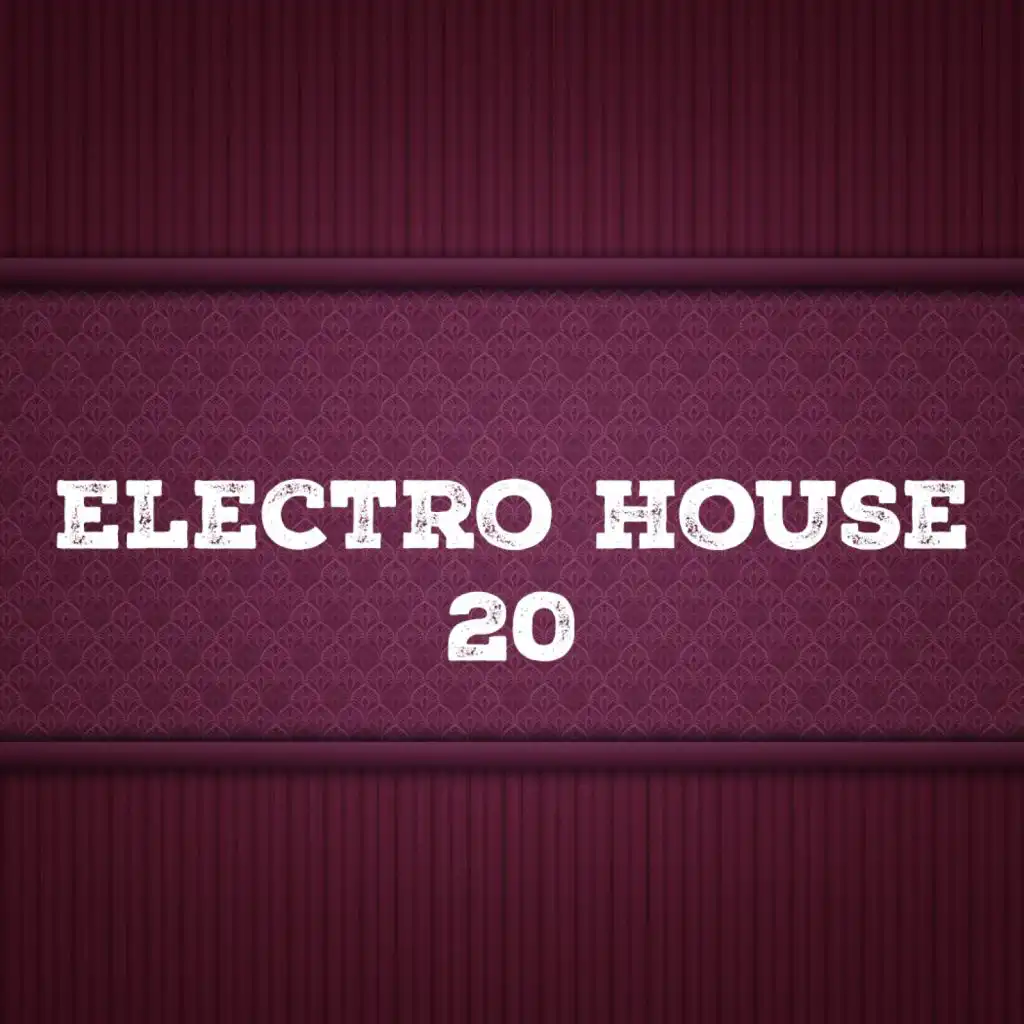 Electro House, Vol. 20