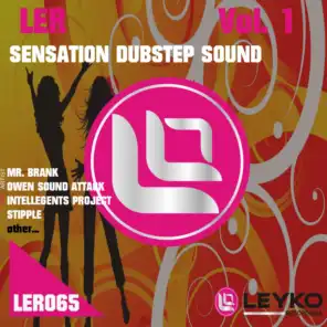 Ler Sensation Dubstep Sound, Vol. 1